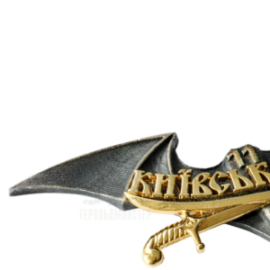 Фото Нагрудний знак «Розвідка 11 Київська Русь»
