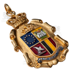 Фото Нагрудный знак «AB UNO DISCENT OMNES»