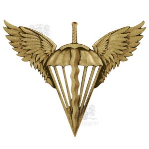Фото Beret sign Landing-Assault troops