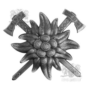 Фото Беретний знак Гірської піхоти