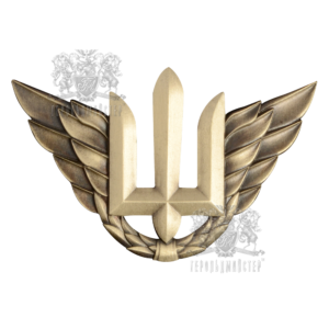 Фото Беретний знак Повітряних військ