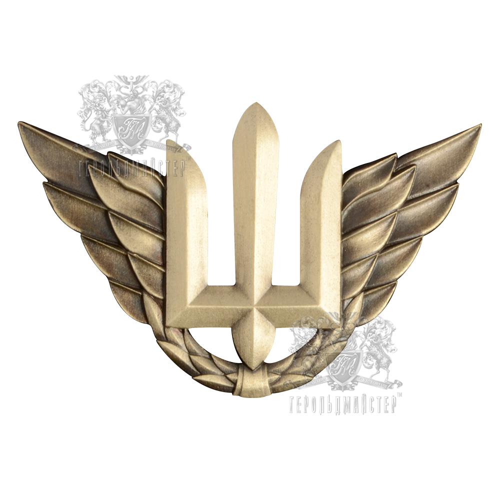 Photo Beret Sign of Air Forces