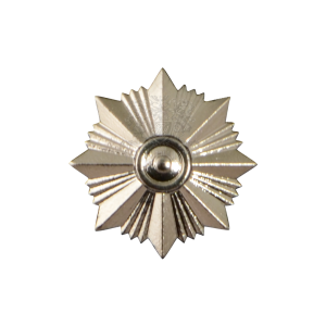 Фото Звезда на погон Национальная полиция