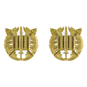 Фото Металевий знак на погонну муфту курсанта 2 шт.