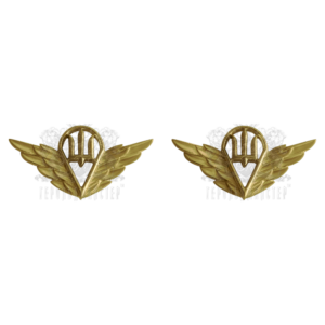 Фото Десантно Штурмові Війська 2 шт.(старого зразка)