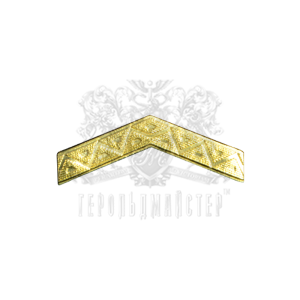 Фото Знак различия "Узкий шеврон"