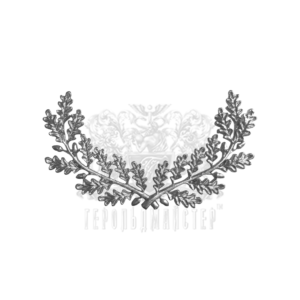 Фото Star on the uniform Judicial protection service "Oak branches"