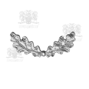 Фото Дубовые ветви на погон Национальная полиция