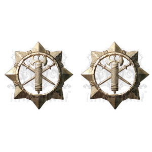 Фото Військова служба правопорядку у Збройних Силах України (військова поліція) 2 шт.