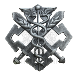 Фото Беретный знак Сил логистики