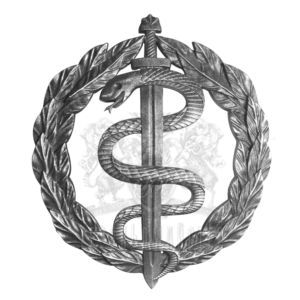 Фото Беретный знак Медицинских сил