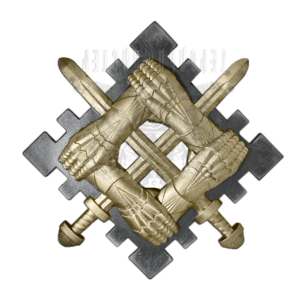 Фото Беретный знак Сил поддержки